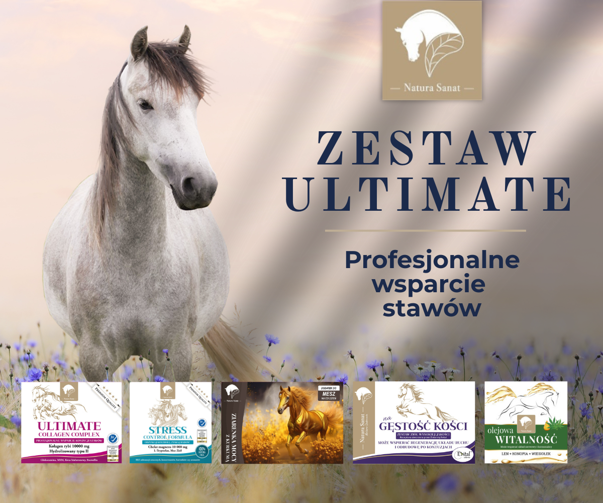 Zestaw ULTIMATE dla konia